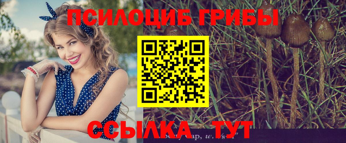 Псилоцибиновые грибы GOLDEN TEACHER  Вход с VPN  Арсеньев 